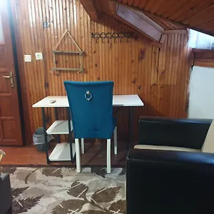 Séjour chez l'habitant Stone